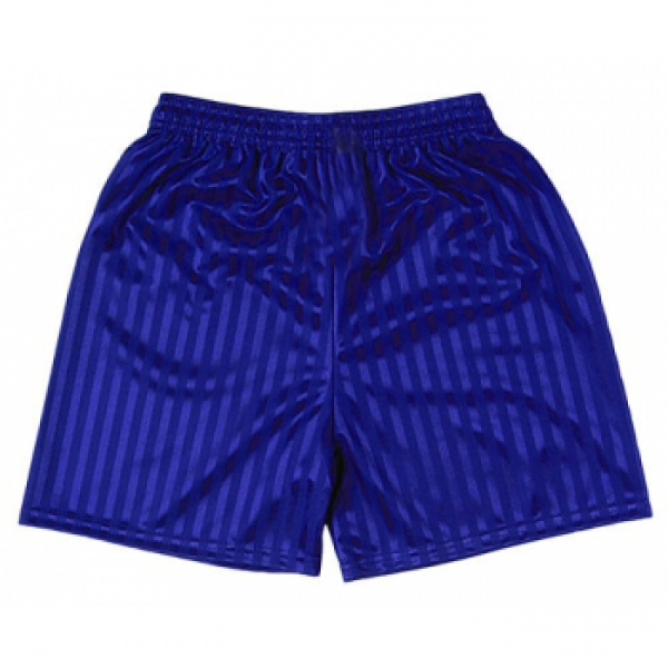 PE Shorts (Royal/Shadow stripe)